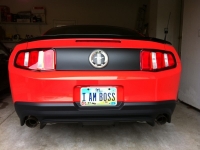 Custom License Plates 05