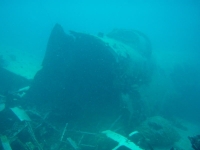 Diving In Chuuk 04