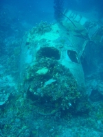 Diving In Chuuk 10