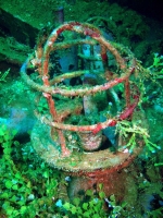 Diving In Chuuk 17