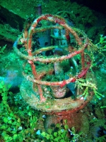 Diving In Chuuk 17