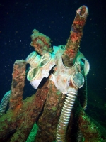 Diving In Chuuk 20