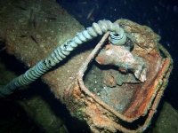 Diving In Chuuk 26