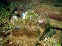 Diving In Chuuk 30