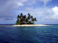 Diving In Chuuk 35