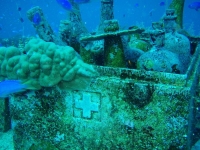 Diving In Chuuk 41