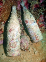 Diving Palau 19