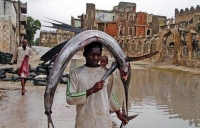 Fisherman In Somalia 01