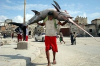 Fisherman In Somalia 02
