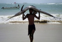 Fisherman In Somalia 06