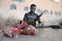 Fisherman In Somalia 11