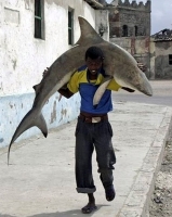 Fisherman In Somalia 18