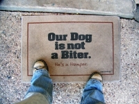 Funny Doormats 15