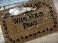 Funny Doormats 17