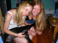 Girls And Dogs 29