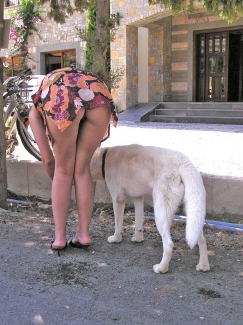 Girls And Dogs 16