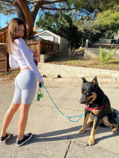 Girls And Dogs 11