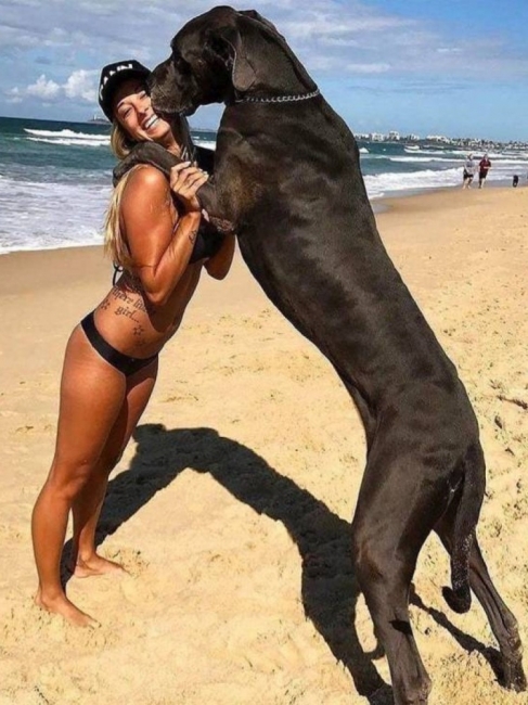 Girls And Dogs 18
