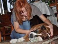 Girls And Dogs 01