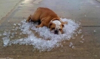 Its Hot Outside