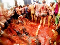 La Tomatina 05