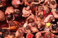 La Tomatina 12