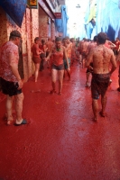 La Tomatina 43