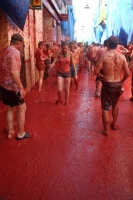 La Tomatina 43