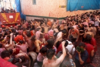 La Tomatina 47