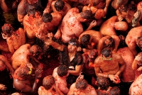 La Tomatina 50