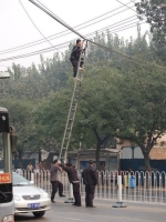 Ladders And Scaffold 15