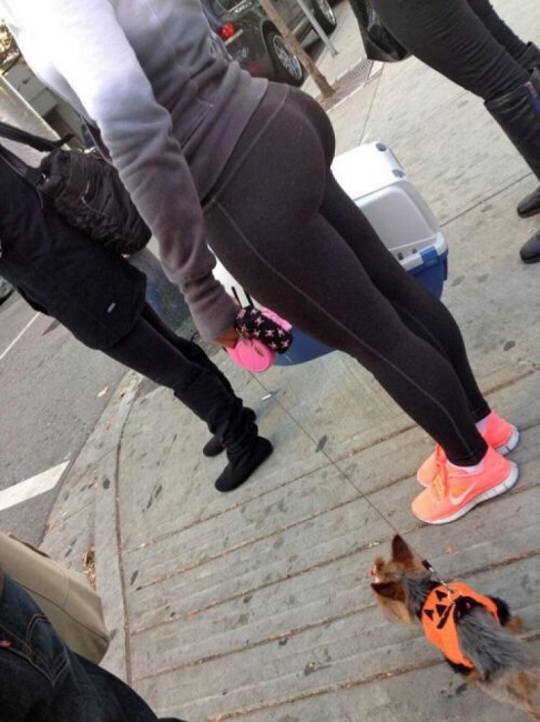 Leggings 37