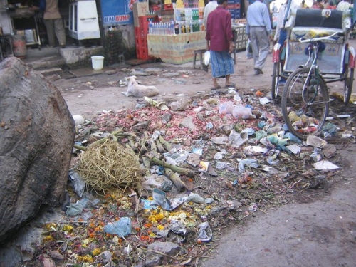 Life On The Ganges 06