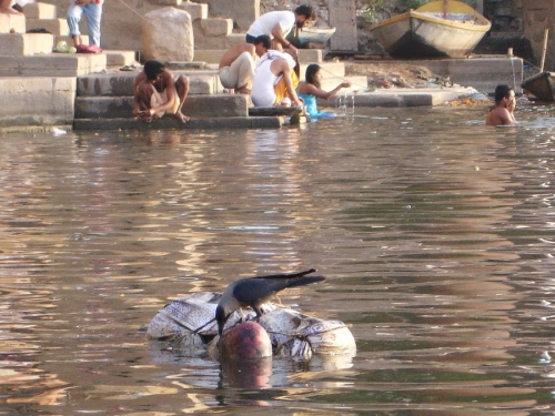 Life On The Ganges 13