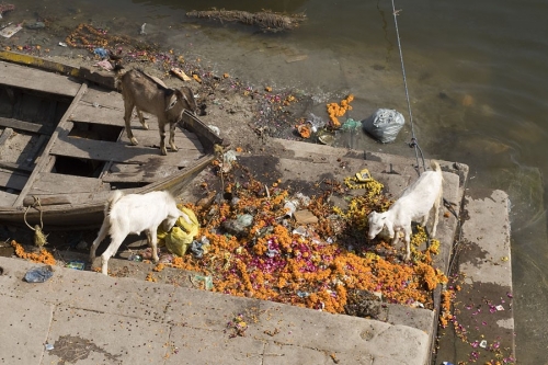 Life On The Ganges 25