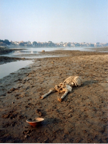 Life On The Ganges 34