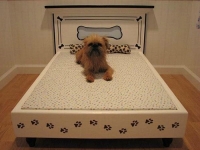 Luxury Dog House 13