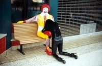 Maccas Pornographied