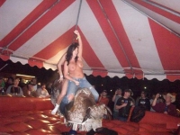 Mechanical Bull Flashing 05