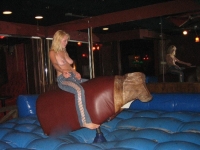 Mechanical Bull Flashing 24