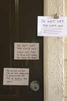 Messages To Neighbours 29