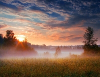 Misty_mornings_03