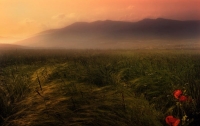 Misty_mornings_18