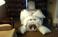 Pranking Hotel Maids