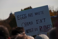 Protester Signs 03
