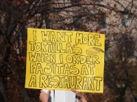 Protester Signs 01