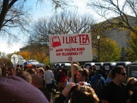 Protester Signs 16