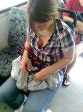 Public Transport Wins 15