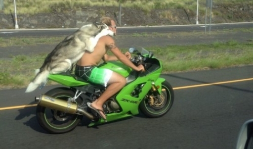 Random Shite 2014 01 30