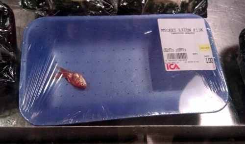 Random Shite 2014 03 27
